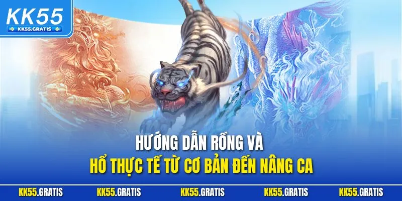 Hướng dẫn Rồng và Hổ thực tế từ cơ bản đến nâng ca