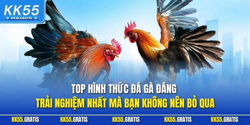 Top hình thức đá gà đáng trải nghiệm nhất mà bạn không nên bỏ qua